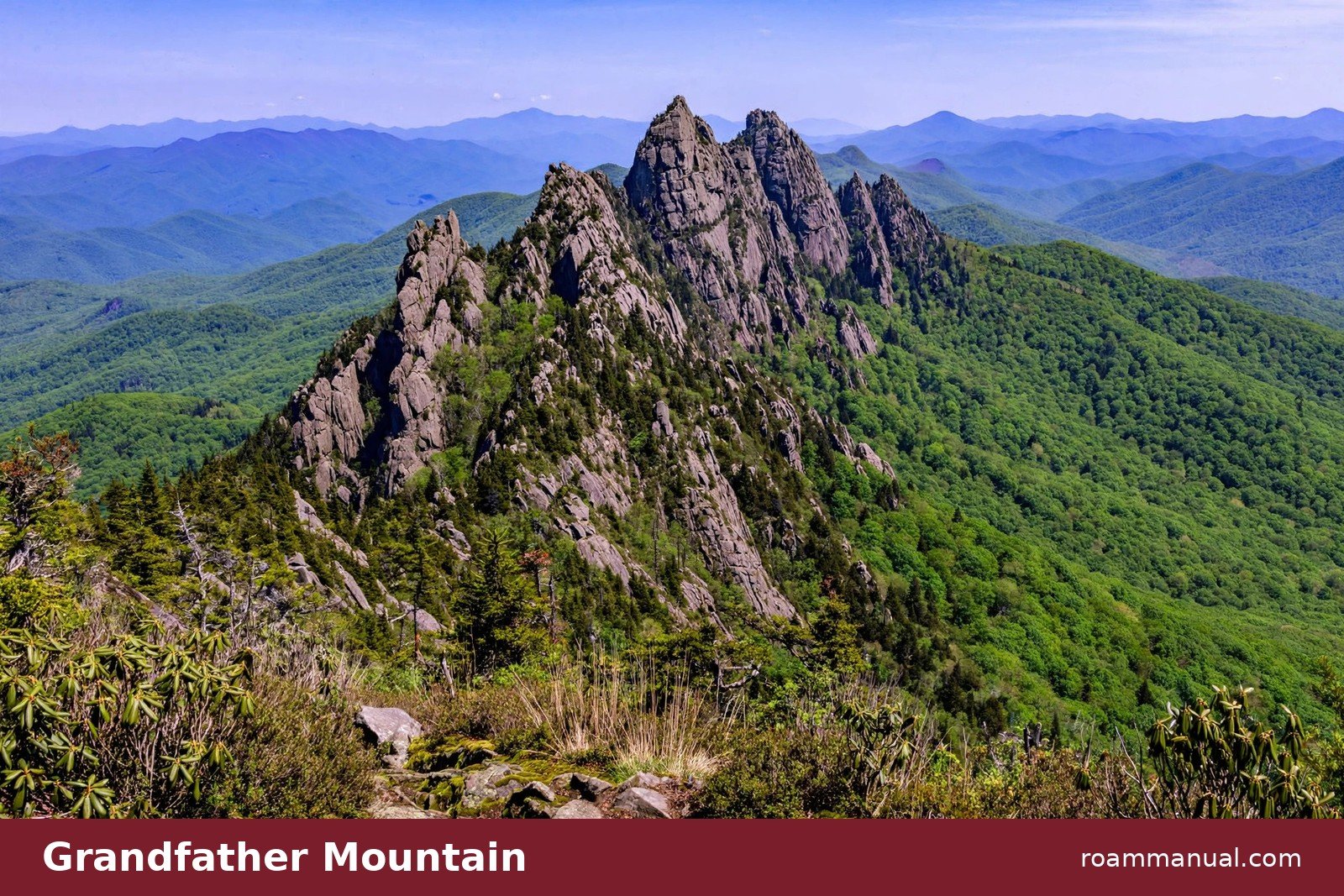 Grandfather Mountain's sharp rocky ridge rising above forested Blue Ridge slopes as seen from the Beacon Heights trail area