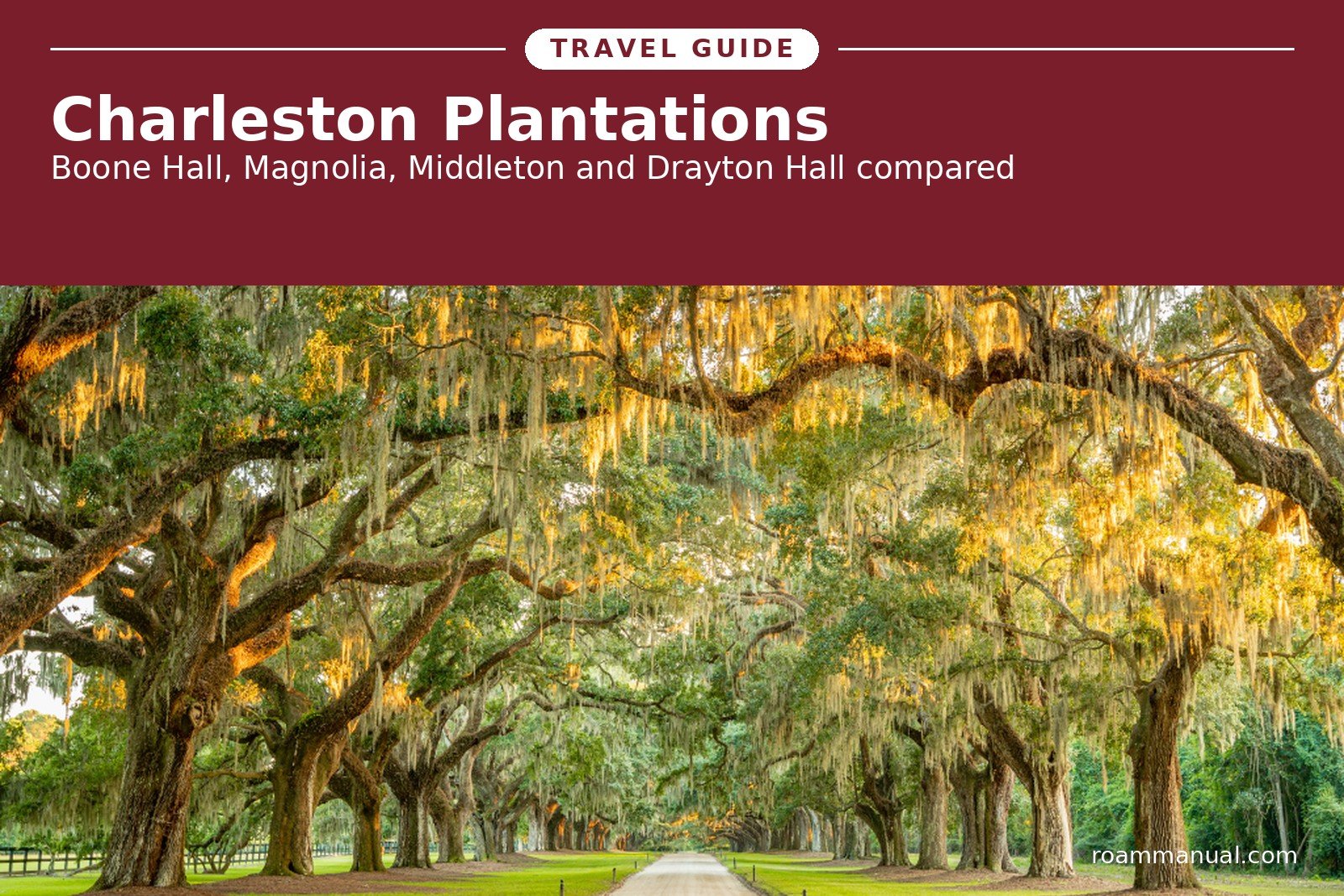 The Avenue of Oaks at Boone Hall Plantation near Charleston, with moss-draped live oaks lining the entrance road