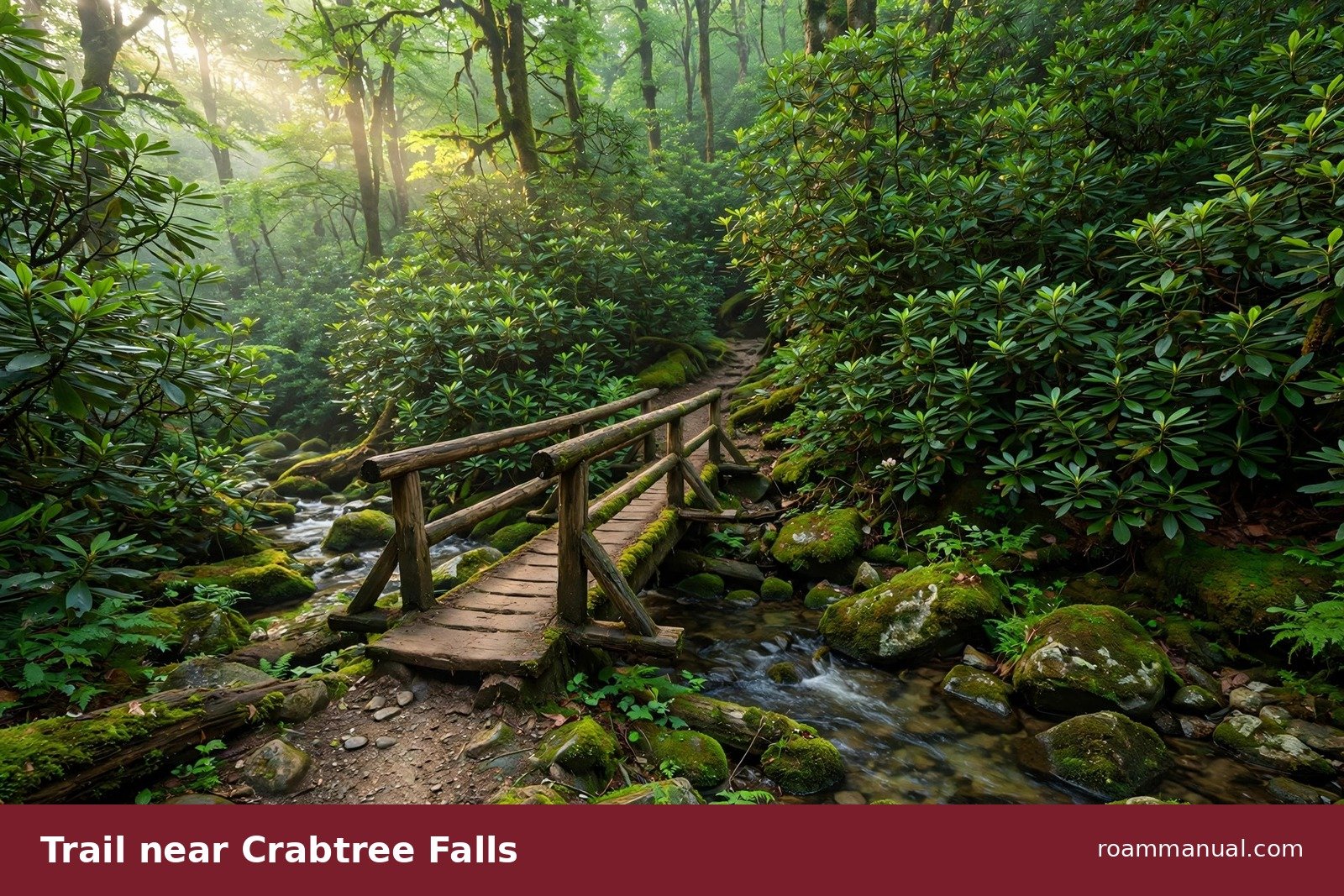 Forest trail near Crabtree Falls Campground on the Blue Ridge Parkway
