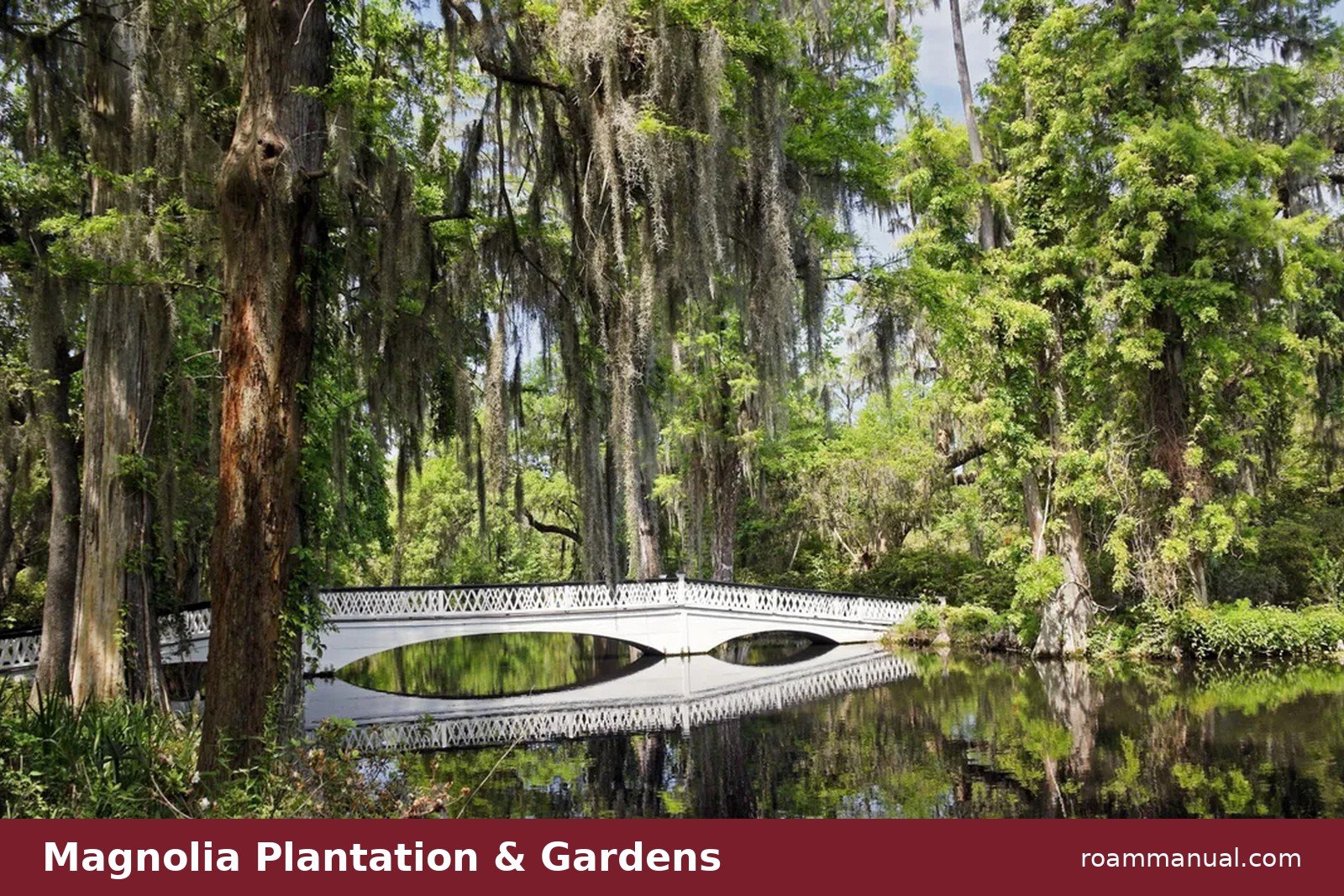 The white bridge over dark water at Magnolia Plantation and Gardens, framed by cypress trees and Spanish moss