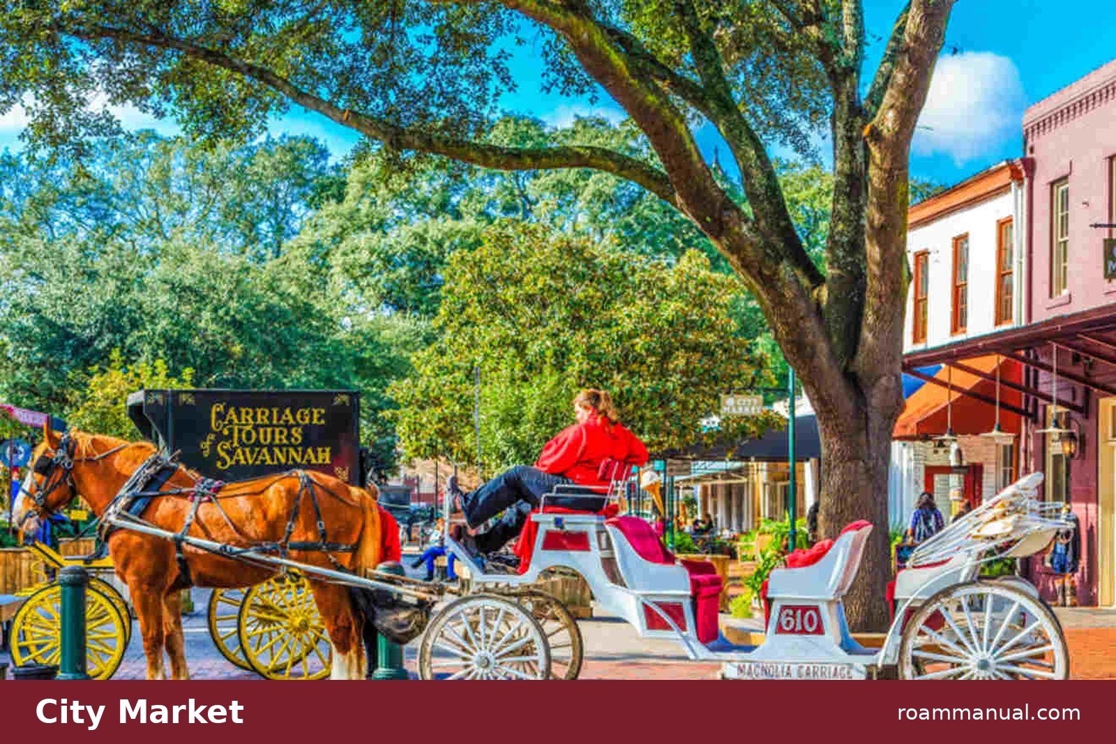 Horse drawn carriage with driver waiting at City Market in Savannah, ready for a history tour